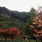 大梵字 - 今が見頃でしょう！