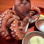 Dodeca octopus