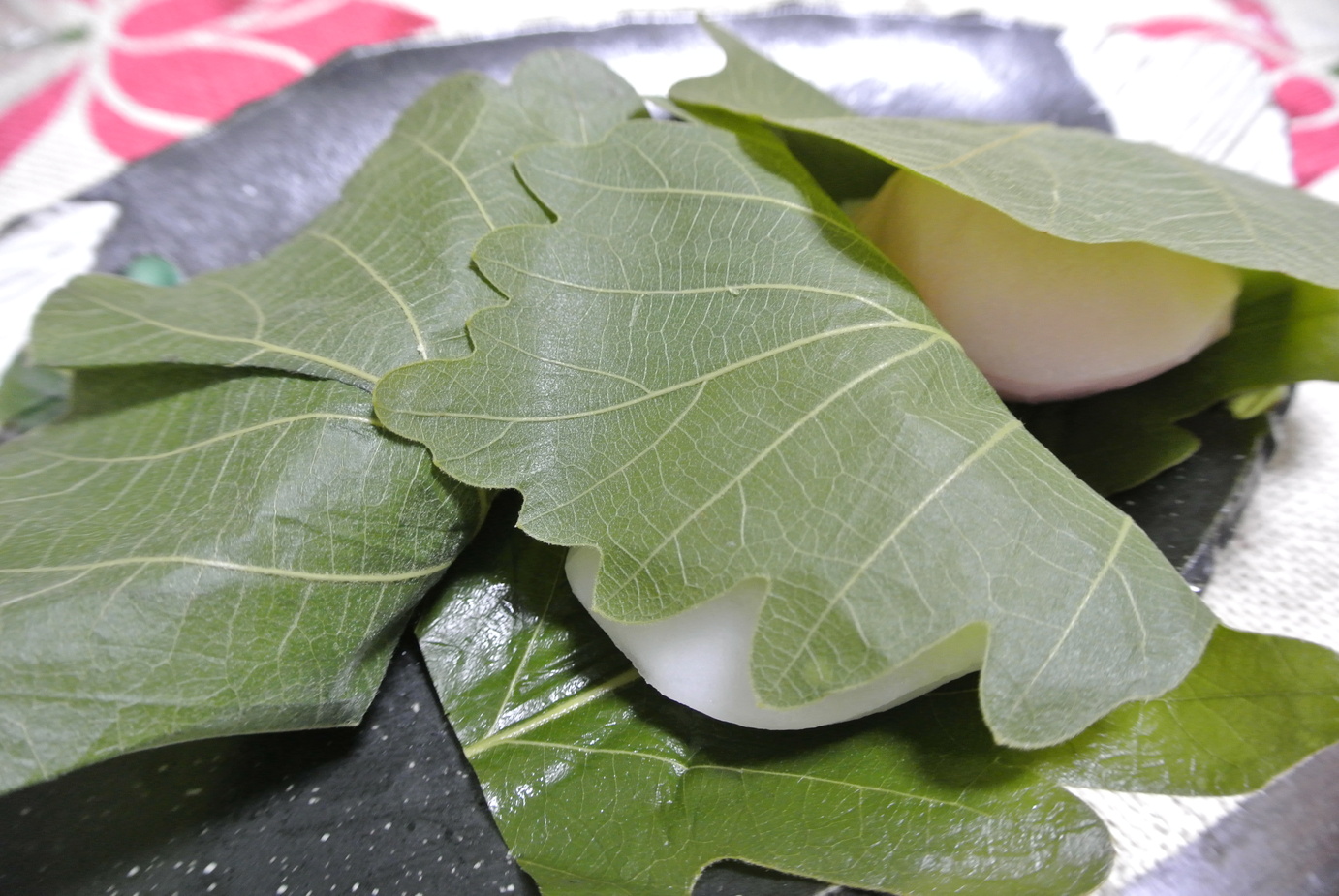 狩野庄紅谷 name=