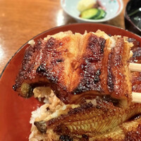 吉寅 - 