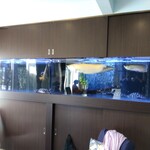 AQUA DINING CAFE 瓢黎 - こんなデカい水槽がありますが　食用ではありません(笑)