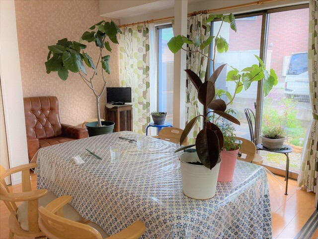 Part2三ノ宮（パートツー三ノ宮） - 長町（カフェ）の写真