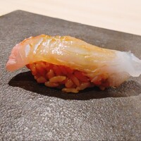はっこく - 