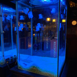 NEO SHOT BAR　深海の洞窟 - フェイクくらげに癒される