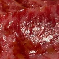 柳橋焼にく わにく - 