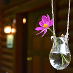 珈琲舎 でご一 - 