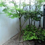 天山トロン温泉 - 室外温泉から見える庭です