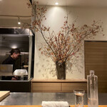 イル アオヤマ - 