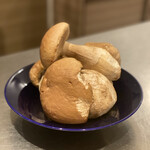 イル アオヤマ - 