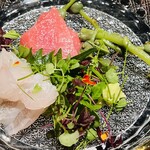 蓬左茶寮 - 本鮪の下にはみずの実