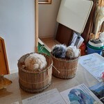 汀の精 - BIWAKOビエンナーレ2022開催地、作品展示の場所には、このようなモコモコの毛玉が三個、転がってます。汀の精さんも会場なので、店内にモコモコがありました。