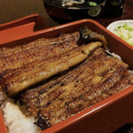 Unagi Futaba - 松