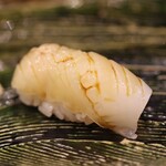 にぎり鮨 一五〇 - アオリイカ