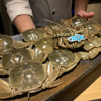 眞善美 - 上海蟹