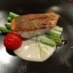 モンプチコションローズ - 香川鯛