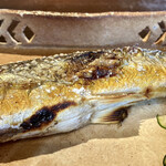 たでの葉 - 熊野川 鮎の炭火焼き
      鮎は雄、お腹には白子を抱えています！
      鮎の大きさはおおよそ25cm位、頭や骨は硬いので抜いてからの提供です。
      これが鮎もシーズンラスト、今年もたくさんいただけたことに感謝です。