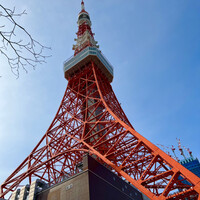 東京 芝 とうふ屋うかい - 