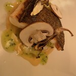 ボア フロッテ - 