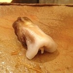 鮨 さいとう - 2013.5ナマトリ