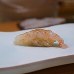 鮨 なんば - ぼたん海老