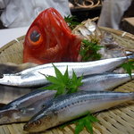 味風月 神田川 - ☆本日の焼き魚は選べるスタイルで素晴らしいですね!(^^)!☆