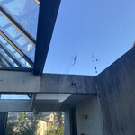 Okashi Tsukuru - 蜘蛛の巣見ながらドーナツ食べる❣️