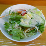 インド料理ダイニングバー ルドリ - サラダ