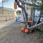 ハッピーベリー - 