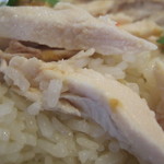 東京カオマンガイ - 鶏肉