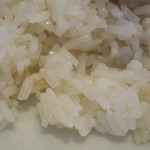 東京カオマンガイ - ライス