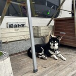 木戸銭 - 看板犬のカブちゃん