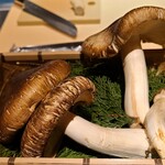 馳走 啐啄一十  - 松茸(広島県庄原産)
      広島の松茸は薫り立つものが多く、炭火の一本焼きの等の松茸自体の味わいをじっくり調理方法より、寧ろ薫りが引き立つ様な蒸し物やお椀に向いている気がします