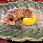 銀座 しのはら - 子持ち鮎の唐揚げ