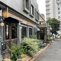 misola - 