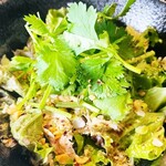 Chicken fillet coriander salad