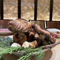 雪月花 銀座 - 大きな松茸