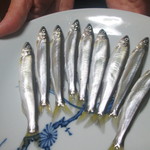 ます多 - なんだっけ？