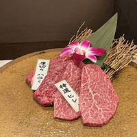 PONGA PREMIUM - 
