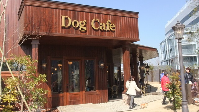 ペット可 ドッグランもあって犬連れには居心地良いです 那須で有名な大好きなペニーレイン オープン次の日にお邪魔しました By ひまわりさん ペニーレイン つくば店 荒川沖 パン 食べログ ペット可 ドッグランもあって犬連れには居心地良いです 那須で有名な大好きなペニーレイン オープン次の日にお邪魔しました By ひまわりさん ペニーレイン つくば店 荒川沖 パン 食べログ