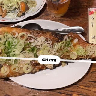 炉ばた 万年青_0