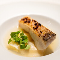 レストラン オオツ - 2022.10 八幡浜産白甘鯛 蛤のソース ポワロー（リーキ）