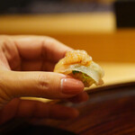 麻布さおとめ - 