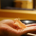 麻布さおとめ - 