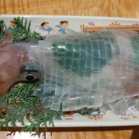 対馬のどぐろとイカ活き造り 博多 魚蔵 都ホテル店 - 