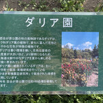 どんぐり - 【2022年09月】百合が原公園の「ダリア園」のコーナー。