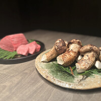 USHIGORO S. NISHIAZABU - 