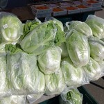農産物直売所 大きなかぶ - 
