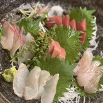 日本料理 魚夢 - お刺身5種盛り