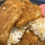 新潟カツ丼 タレカツ - 