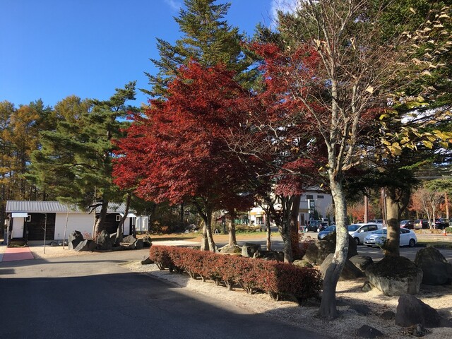 レストランサイズリゾート - 猪苗代（ハンバーグ）の写真